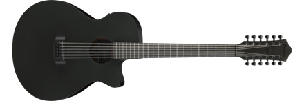 Ibanez AEG1221-BOT western-gitar med mikrofon, 12-strengers