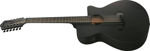 Ibanez AEG1221-BOT western-gitar med mikrofon, 12-strengers