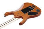 Ibanez RG5121RET-PRT elgitar med hardcase