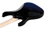 Ibanez RG421DX-TWS elgitar RG Standard