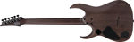 Ibanez RGD621AH-MNF elgitar RGD