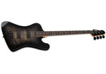 LTD PHX-204DX BLACK BURST
