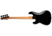 LTD SURVEYOR-204DX BLACK BURST