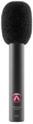 Austrian Audio CC8