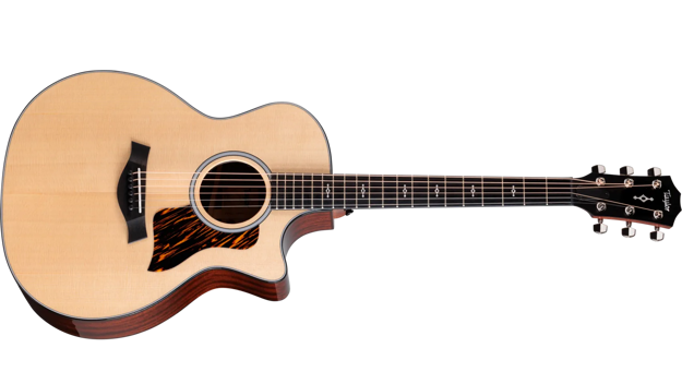Taylor Next Generation 314ce