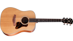 Taylor Gold Label 510e