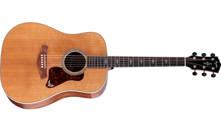 Taylor Gold Label 810e Honduran Rosewood