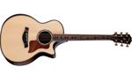 Taylor Next Generation Builder's Edition 814ce Indian Rosewood/Adirondack Spruce