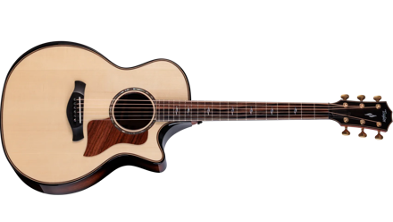 Taylor Next Generation Builder's Edition 814ce Indian Rosewood/Adirondack Spruce