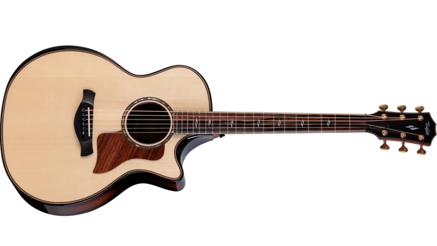 Taylor Next Generation Builder's Edition 814ce Indian Rosewood/Adirondack Spruce