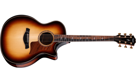 Taylor Next Generation Builder's Edition 814ce Honduran Rosewood/Adirondack Spruce