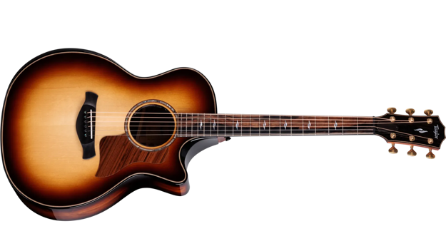 Taylor Next Generation Builder's Edition 814ce Honduran Rosewood/Adirondack Spruce
