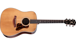 Taylor Gold Label 710e