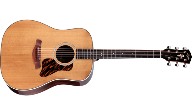 Taylor Gold Label 710e