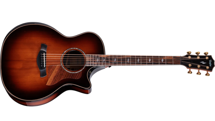 Taylor Next Generation Builder's Edition 814ce Honduran Rosewood/Sinker Redwood