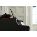 Casio AP-300BK Celviano Digital Piano Black