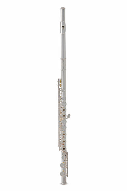 Roy Benson Flute FL-402R