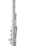 Roy Benson Flute FL-402R