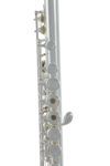 Roy Benson Flute FL-402R