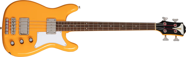 Epiphone Newport Bass CC