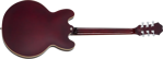 Epiphone Noel Gallagher Riviera DRW