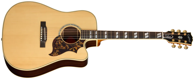 Epiphone Hummingbird Deluxe EC NA