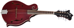 Epiphone F-5 Studio WRS