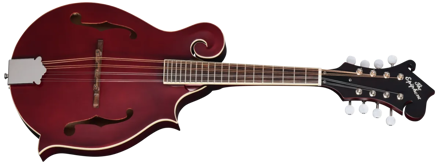 Epiphone F-5 Studio WRS