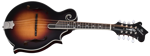 Epiphone F-5G CS