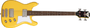 Epiphone Newport Bass SY