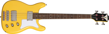 Epiphone Newport Bass SY