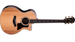 Taylor Next Generation 714ce Western Red Cedar/Indian Rosewood