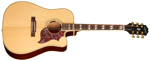Epiphone Hummingbird Standard EC Natural