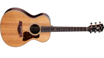 Taylor Gold Label 712e