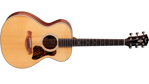 Taylor Gold Label 512e